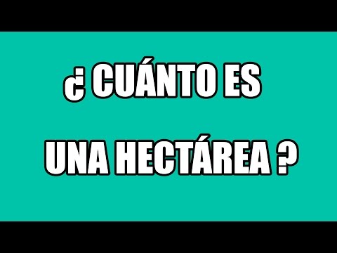 ¿Cuánto es una hectarea en metro cuadrado?