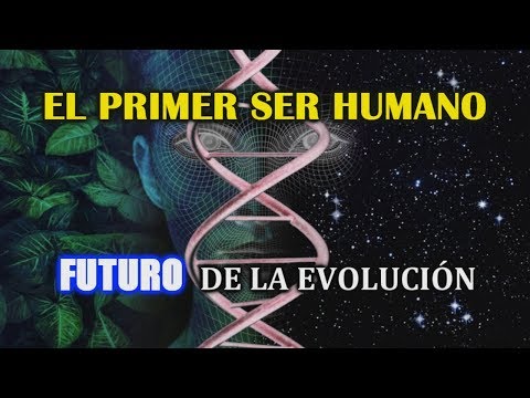 ¿De dónde proviene el ser humano resumen?