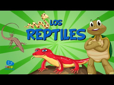 Los reptiles son carnivoros herbivoros o omnivoros